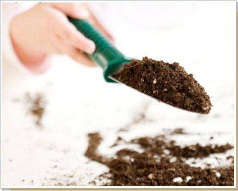 Как определить уровень кислотности почвы и раскислить ее - фото