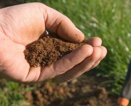 Кислотность почвы: что это такое и как ее проверить - фото