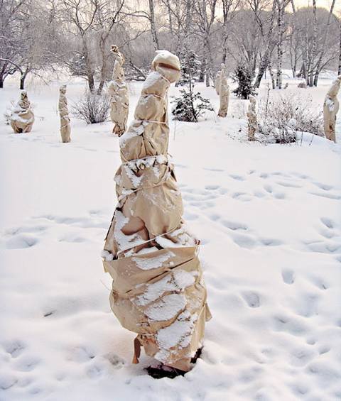 Как укрыть деревья на зиму  ухаживаем за своим садом - фото
