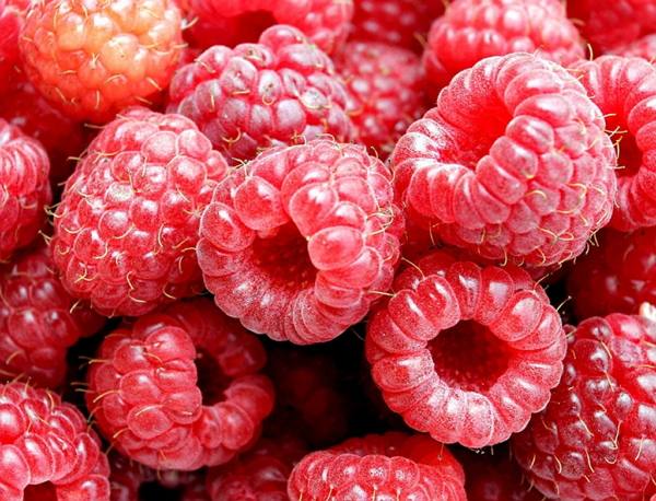 Как заморозить малину на зиму  свежие ягоды круглый год - фото