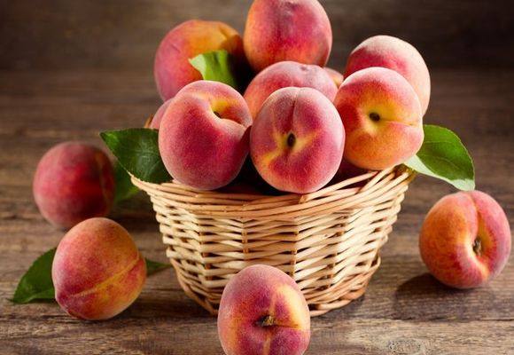 Список лучших сортов персика для выращивания на даче с фото
