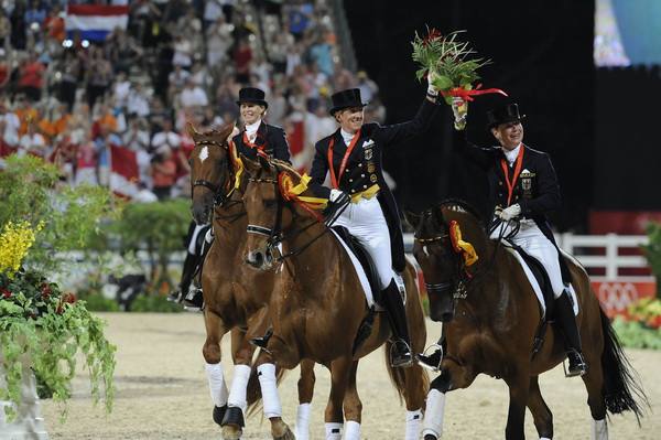 Немецкие и голландские лошади - звезды современного конного спорта - фото