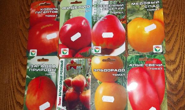 Рассада томатов в домашних условиях  все тонкости выращивания - фото