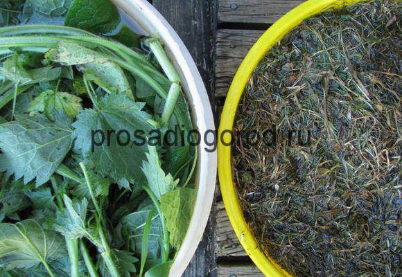 Как сделать удобрение для огорода из травы: способы приготовления - фото
