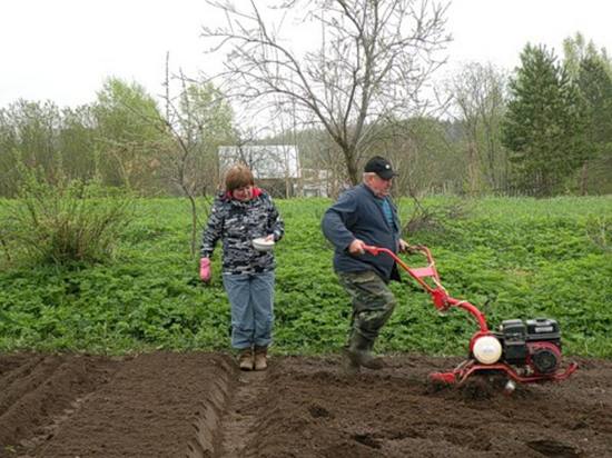 Удобрения для огорода  чем обогатить почву весной? с фото