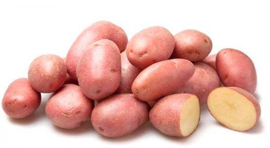 Все что нужно знать о картофеле сорта Розара с фото